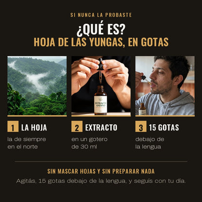 ¿Qué es? Hoja de las Yungas, en gotas: la hoja, el extracto en un gotero de 30 ml y 15 gotas debajo de la lengua
