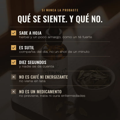 Qué se siente y qué no: sabe a hoja, es sutil, se toma en 10 segundos; no es café ni energizante, no es un medicamento
