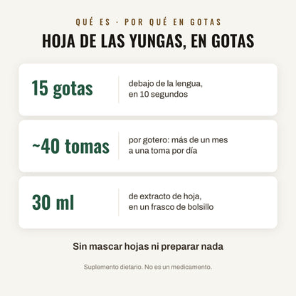 Qué es: hoja de las Yungas en gotas. 15 gotas debajo de la lengua en 10 segundos, unas 40 tomas por gotero, 30 ml de extracto de hoja