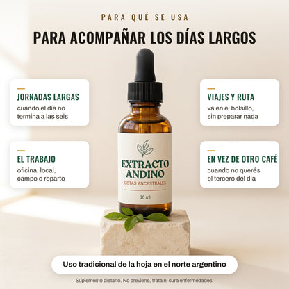 Para qué se usa: jornadas largas, el trabajo, viajes y ruta, en vez de otro café. Uso tradicional de la hoja en el norte argentino